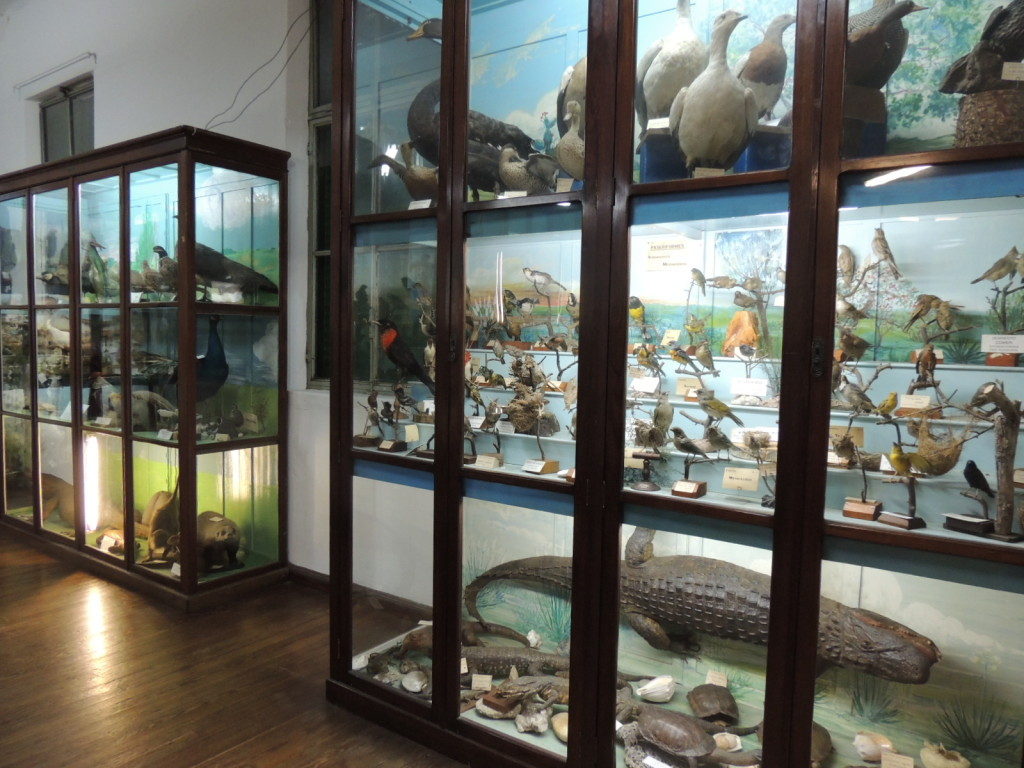 museo