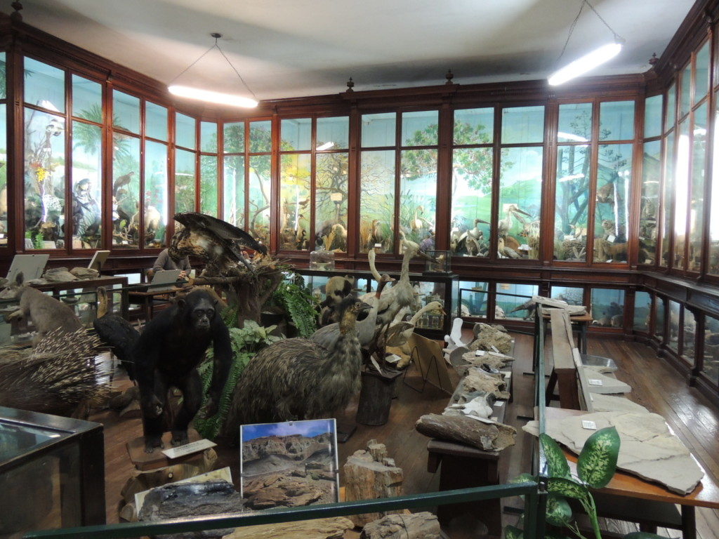 museo