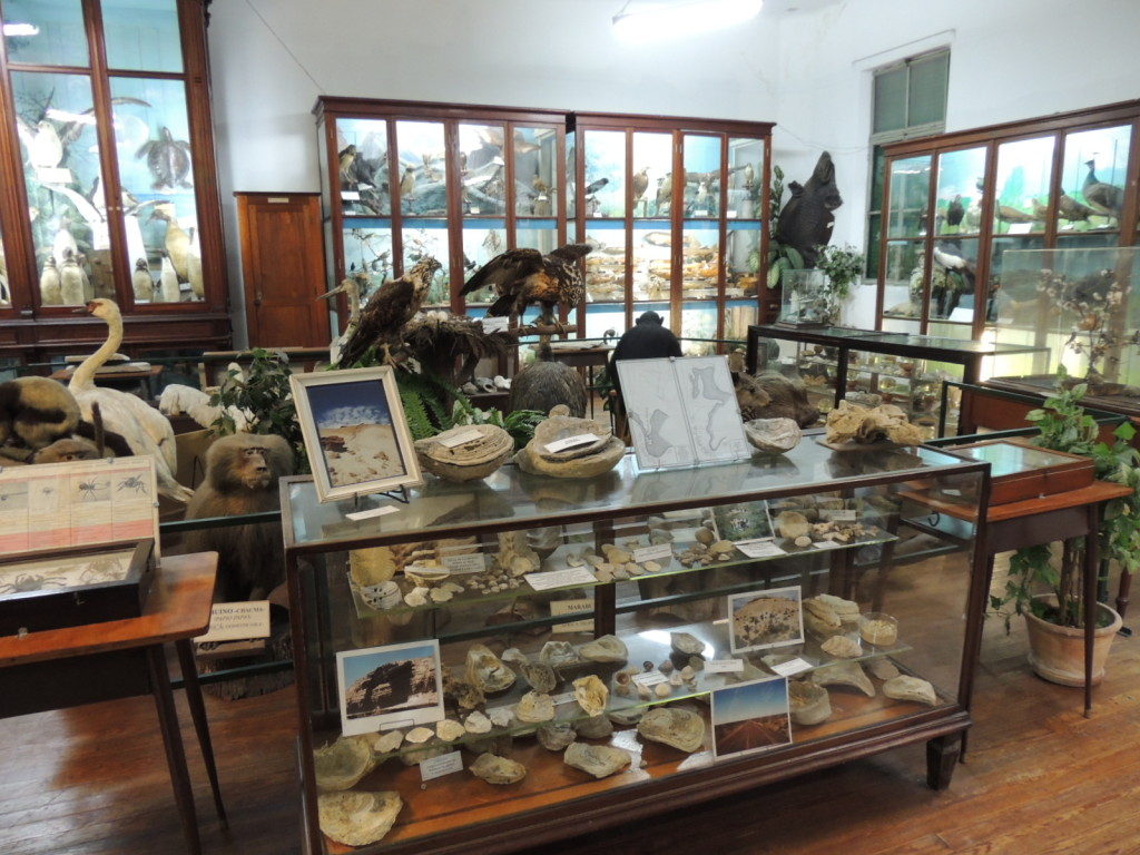 museo